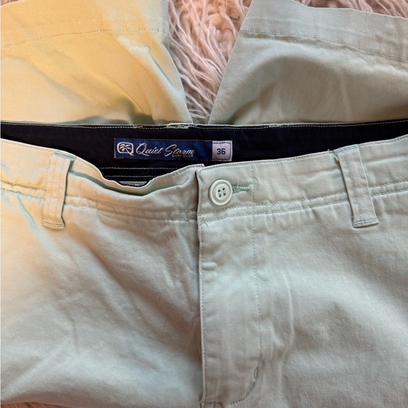 Light  Mint Green Flat Front Shorts with Modern Fit - Picture 3 of 3